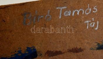 Biró Tamás (?-): Táj várkapuval. Olaj, farost, jelzett, 60×80 cm