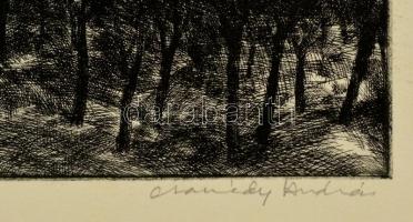 Csanády András (1929- ): A szilvásból lenézve. Rézkarc, papír, jelzett, 29×39 cm