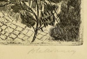 Blahos Rudolf (1917-1986): Budapesti látkép. Rézkarc, papír, jelzett, számozott, 39×25 cm