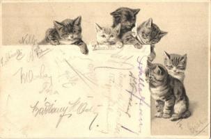 Cats. Emb. litho (EK)