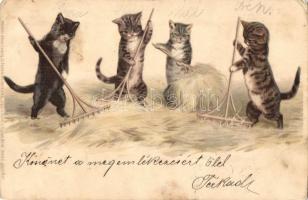 Cats. Meissner & Buch. 12 Postkarten Serie 1042. litho (EK)