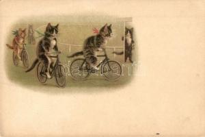Cats riding bicycles. litho (EK)