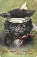 You ought to see the other fellow! Cat injured in fight. German American Novelty Art Series No. 710. (6 Des.) s: Arthur Thiele (EK)