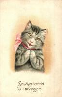 Cat. Name day greeting card. litho (EK)