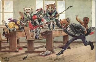 Cats chasing a mouse in the classroom, violin, music class s: Arthur Thiele (Rb)