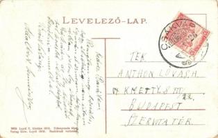 Csákvár, Községháza, Gróf Esterházy féle gazdasági iskola. Lodyl T. kiadása (kopott sarkak / worn co...