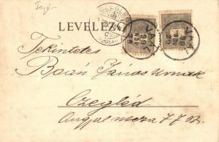 1899 Vál, Római katolikus templom, torony, kastély. Klösz György kiadása, floral, Art Nouveau