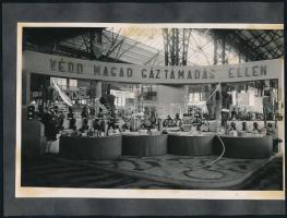 cca 1944 Budapest, légoltalmi szaküzlet termékei, 8 db vintage fotó, fekete kartonra felragasztva, 17x12 cm és 18x24 cm között