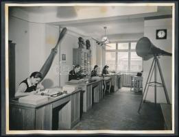 cca 1944 Budapest, légoltalmi szaküzlet termékei, 8 db vintage fotó, fekete kartonra felragasztva, 1...