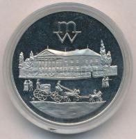 Lengyelország DN "Mennica Warszawszka (Varsói verde) 1766" jelzetlen Ag(?) emlékérem (35mm...