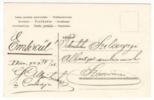 1909 Déva, pénzügyi biztos(?) és családja, fotó, hátulján feliratozva, 14×9 cm