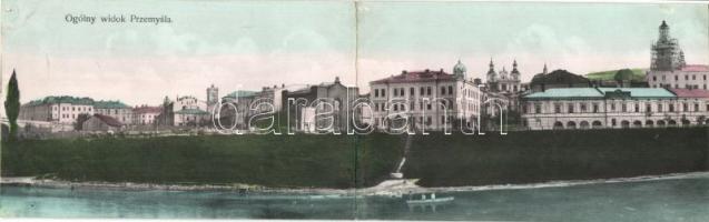 Przemysl with Synagogue Panoramacard (b)