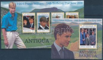 Vilmos herceg kisív + blokk, Prince William mini sheet + block