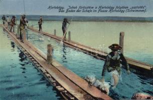 Hortobágy juhoj fürösztése