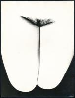cca 1979 Feliratozott fotóművészeti alkotások, 2 db vintage fotó, 24x18 cm