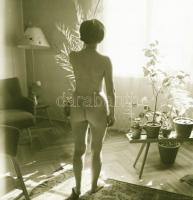 cca 1976 Aktfotózás, 8 db vintage negatív, 6x6 cm