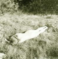 cca 1976 Aktfotózás, 8 db vintage negatív, 6x6 cm