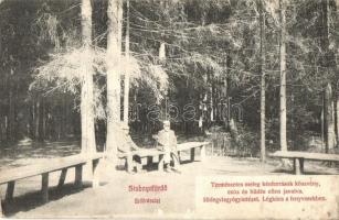 Stubnyafürdő, Stubnianske Teplice; Erdő részlet, légkúra a fenyvesekben / spa, forest air treatment (EK)
