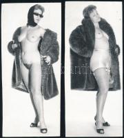 cca 1969 A vezérigazgató felesége, 9 db szolidan erotikus vintage fotó, 17x8 cm / 9 erotic photos, 1...