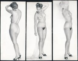 cca 1969 A vezérigazgató felesége, 9 db szolidan erotikus vintage fotó, 17x8 cm / 9 erotic photos, 1...