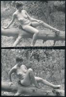 cca 1971 A lakótelep melletti kiserdőben, 7 db szolidan erotikus vintage fotó, 17,5x9 cm és 17,5x12 ...