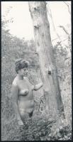 cca 1971 A lakótelep melletti kiserdőben, 7 db szolidan erotikus vintage fotó, 17,5x9 cm és 17,5x12 ...