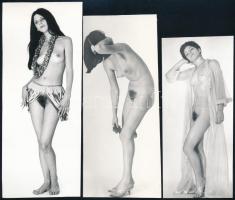 cca 1970 Női huncutságok, 9 db szolidan erotikus vintage fotó, 12x6 cm és 17x11,5 cm között / 9 erotic photos