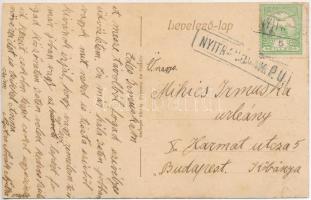 Nyitranovák, Nováky; Rakovszky és Majthényi kastély / castles (EK)