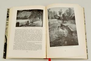 Dr. Rados Jenő: Tata. Városképek-Műemlékek. Bp., 1964, Műszaki. Kiadói egészvászon-kötés, szakadozot...