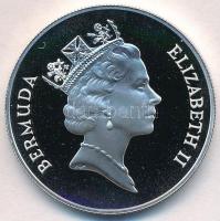 Bermuda 1989. 2$ Ag "Kabóca" T:PP
Bermuda 1989. 2 Dollars Ag "Cicada" C:PP
Kra...