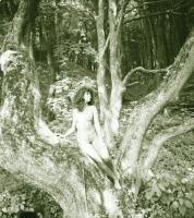 cca 1977 Csinosak és szépek, szolidan erotikus felvételek, 13 db vintage negatív, 6x6 cm