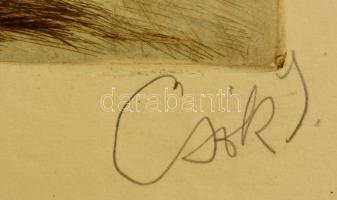 Csók István (1865-1961) - Prihoda István (1891-1956): Báthory Erzsébet. Színezett rézkarc, karton, j...