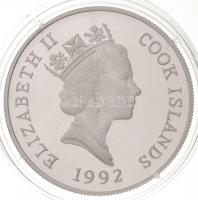 Cook-szigetek 1992. 50$ Ag "Veszélyeztetett állatvilág - Mandrill" C:PP
Cook Islands 1992...