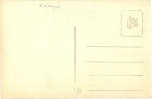 Fonyód, a befagyott moló és a Balaton télen. Bellainé photo