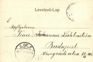 Debrecen, Piac utca alsó részlet, hintók, üzletek. Pongrácz Géza kiadása, Kiss Ferencz felvétele