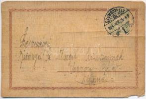 1904 Flower, wooden card (tear)