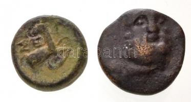 Piszídia / Szelge Kr. e. II-I. század 2db klf AE érme (2,06g/1,53g) T:2-,3 Pisidia / Selge 2nd-1st century BC. 2pcs of diff AE coins (2,06g/1,53g) C:VF,F