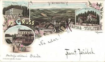 1897 (Vorläufer!) Krapinske Toplice, Krapina-Töplitz; Kurhaus, Kurpark, Bellevue / spa, hotel. A. Schvidernoch floral, Art Nouveau, litho (cut)