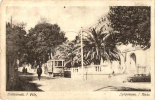 Dubrovnik, Ragusa; Pile, tram (EK)