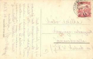 Déva, Vármegyeháza. Hirsch Adolf kiadása / county hall