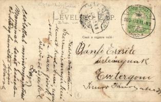 1903 Érmihályfalva, Valea Lui Mihai; családi ház / family house. photo (EK)