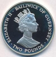 Gurnesey 1998. 2P Cu-Ni "Citromlepke" T:PP
Gurnesey 1998. 2 Pounds Cu-Ni "Brimstone ...