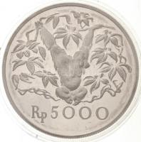 Indonézia 1974. 5000R Ag "Orángután" T:PP fo.
Indonesia 1974. 5000 Rupiah Ag "Orangu...