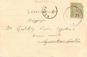 Vajnafalva, Voinesti (Kovászna, Covasna); Sáros fürdő. Julius Müller utóda kiadása / mud spa