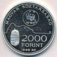 1998. 2000Ft Ag "WWF - Óvd a természetet" T:PP 
Adamo EM154