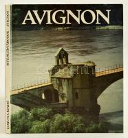 Gellér Katalin-Gara György: Avignon. Bp., 1983, Corvina. Kiadói kartonált papírkötés, gazdag egészoldalas fekete-fehér és néhány színes képpel.