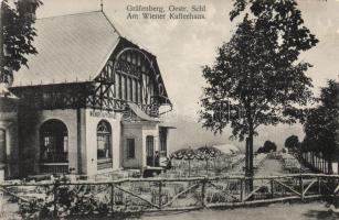 Gräfenberg Café