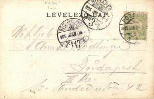 1905 Hebe oldalkerekes személyszállító gőzhajó Pozsonyban / Hebe, Hungarian passenger steamship in B...