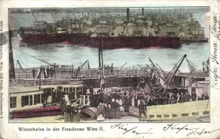 Wien Winter-port in Freudenau