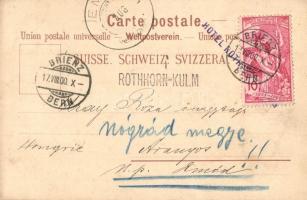 Brienz, Brienzer-Rothhorn; Panorama gegen die Berner-Alpen, Hotel Rothhorn-Kulm, Mühlebach Viaduct /...